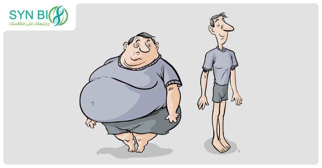 عمليات الأيض